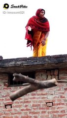 5244591873934378930_play.mp4_logo_US