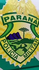 Após denúncia, Polícia Ambiental realiza vistoria e encontra sete aves nativas em casas de Iporã