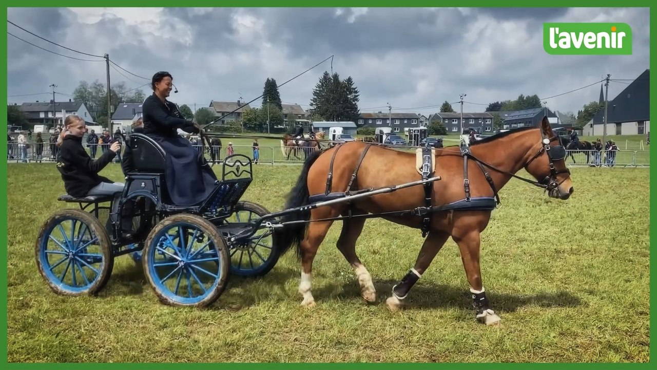 Les sports et loisirs équestres à l'honneur au salon EquiFeria de Libramont