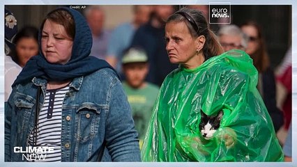 Il progetto Farm Zero C mira a creare un’azienda casearia a impatto ambientale zero: è possibile?