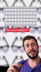 Êtes-vous intelligent ? (Exclu Dailymotion)
