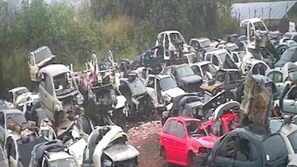 Câmera flagra funcionários de auto peça rendendo ladrão no Pioneiros Catarinenses