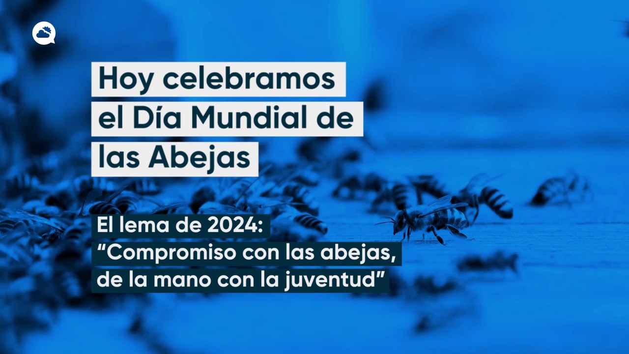 Hoy celebramos el Día Mundial de las Abejas