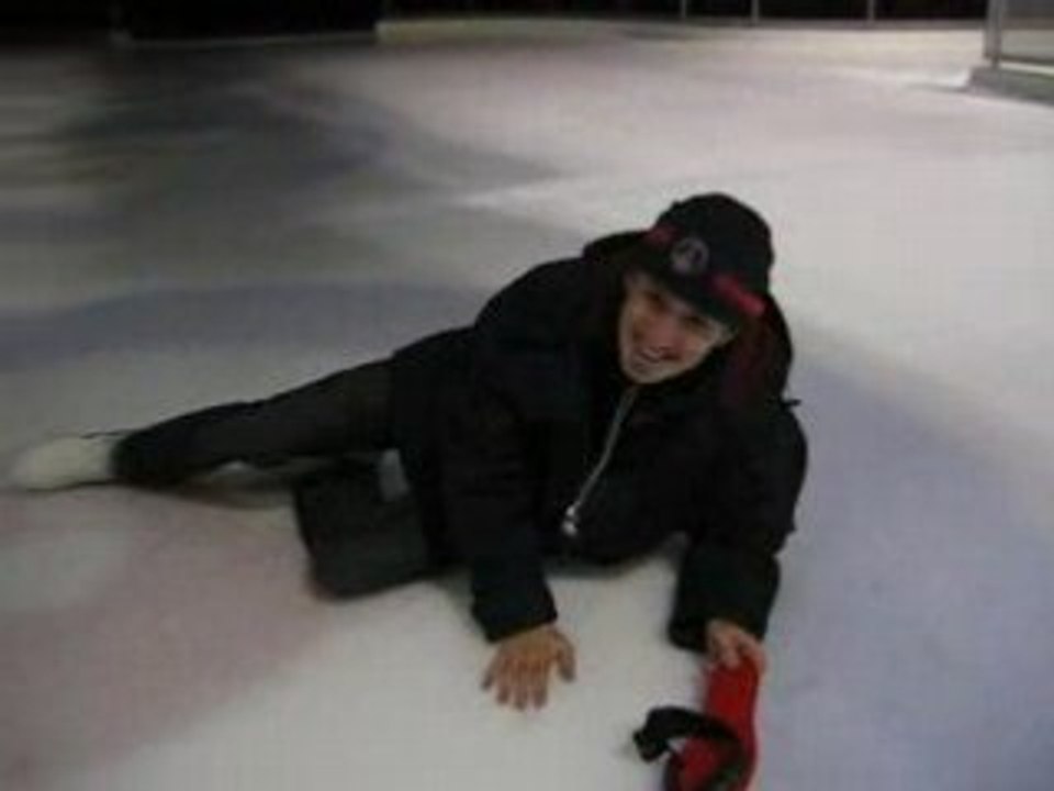 LE PINGUIN A LA PATINOIRE