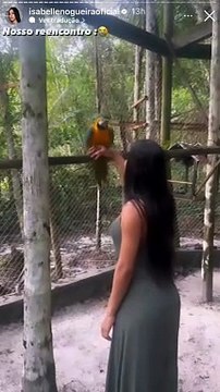 Ex-BBB Isabelle reencontra sua filha , a arara Jackson