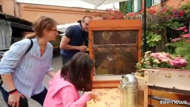 Giornata delle Api, le iniziative di Coldiretti
