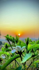 Nature view| nature beautiful