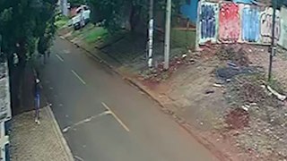 Vídeo mostra cavalo sofrendo infarto e morrendo no meio da rua em Cascavel
