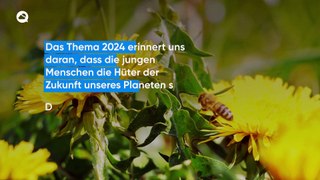 Heute feiern wir den Weltbienentag