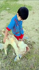 Kids playing with baby goat || #funny#shorts#viral#trending