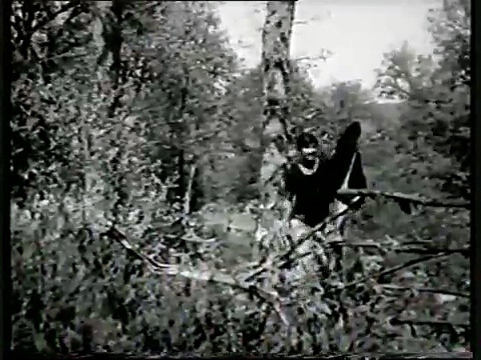 Kargacı Halil
