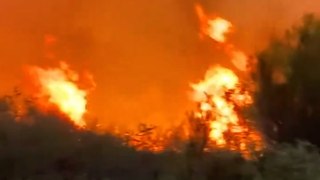 Firefighters battle to contain raging wildfire in Arizona