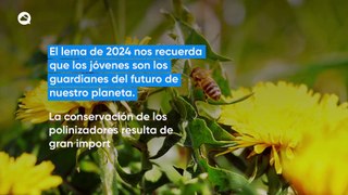 Hoy celebramos el Día Mundial de las Abejas