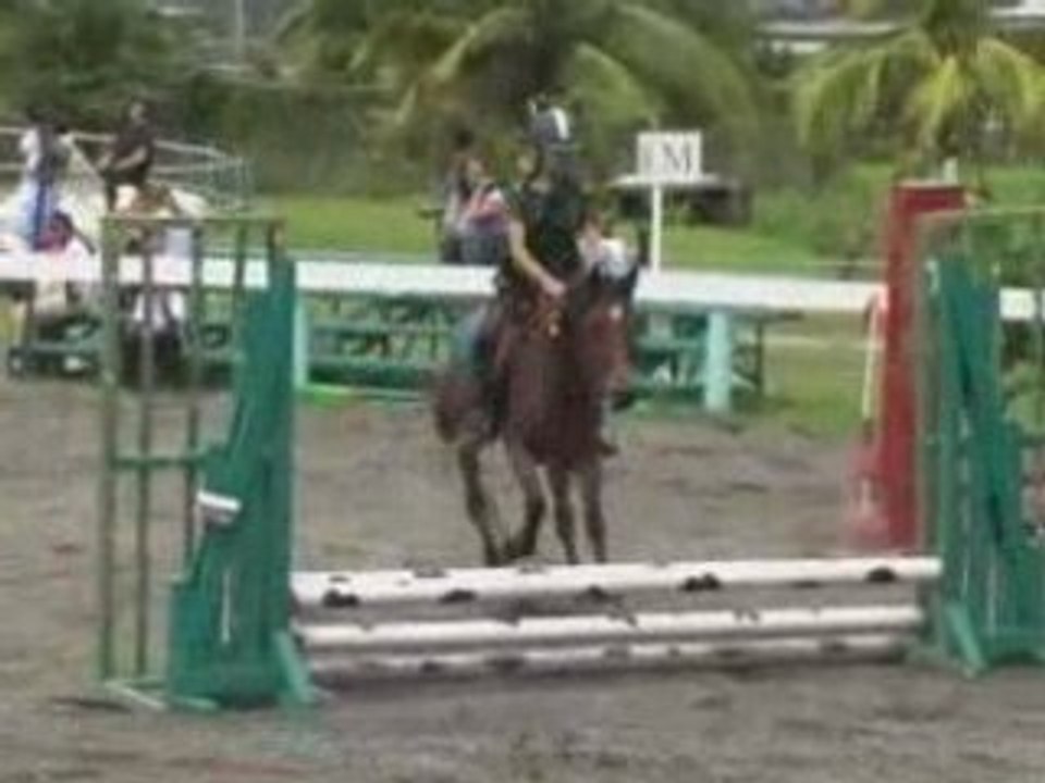 parcour de cso poney