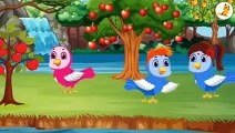 Meena Chidiya Ao Baran - Pashto Cartoon Story - Pashto Dream Birds_2