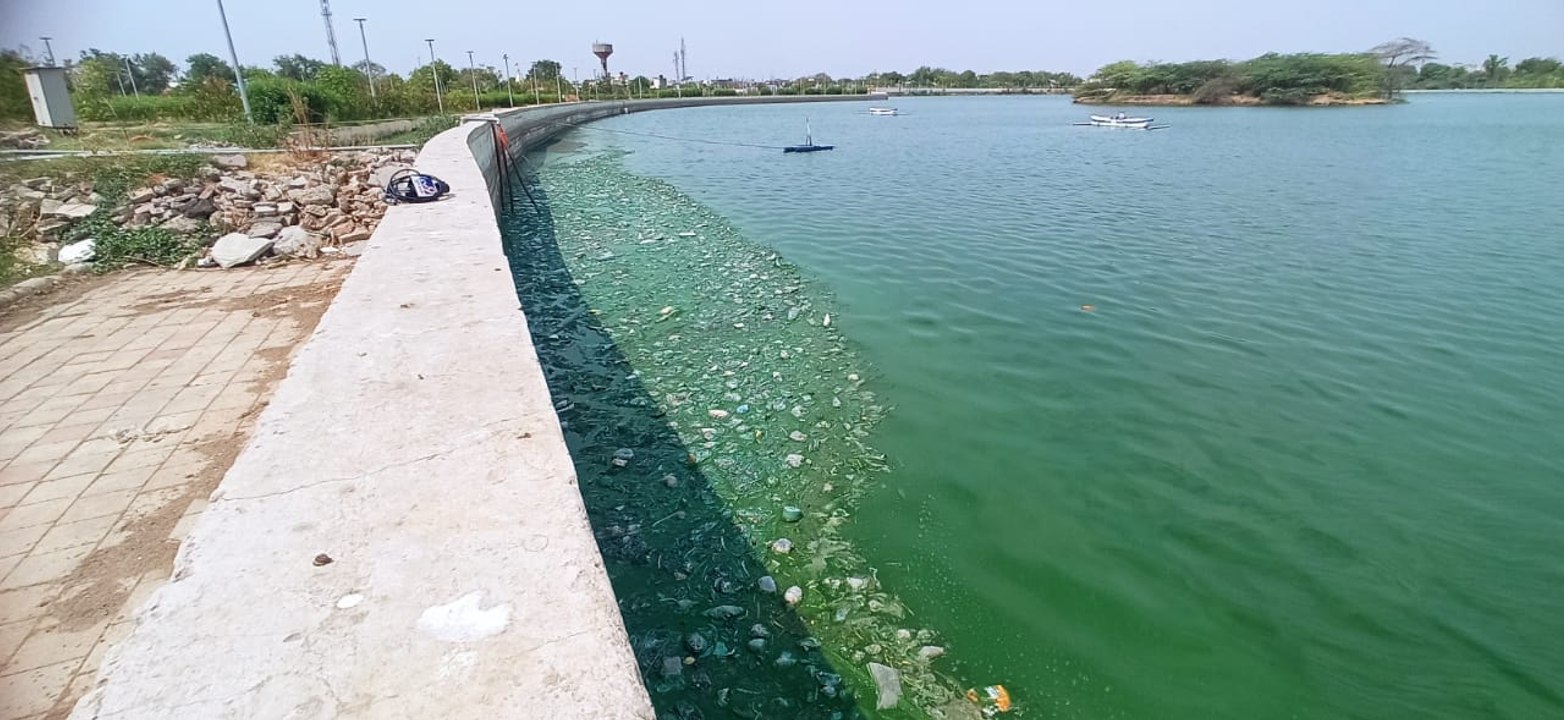 लांभा के तालाब में गंदगी की भरमार, परिसर के पौध...