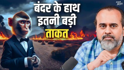 बंदर के हाथ इतनी बड़ी ताकत || आचार्य प्रशांत, युवाओं के संग (2014)