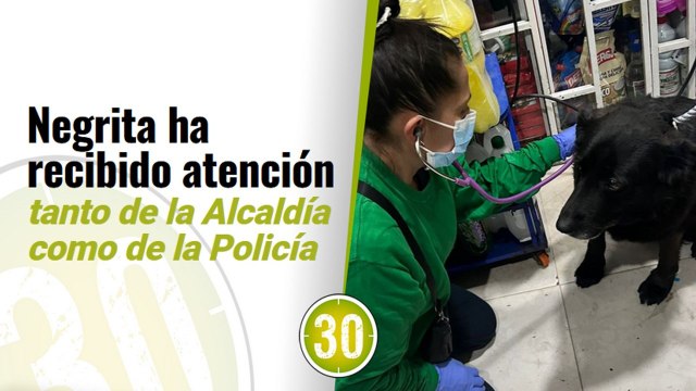 Distrito brinda atención a Negrita, la canina agredida por uniformados al suroriente de Bogotá
