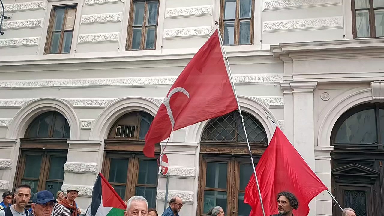 VID20240511182206