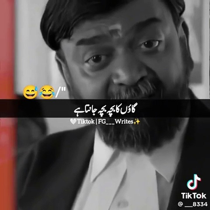 Funny videos