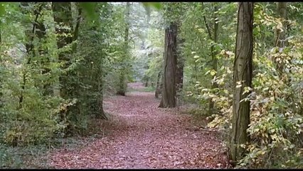 L'Heure du Crime Bande-annonce (EN)