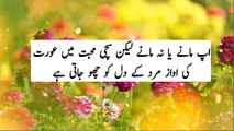 Urdu quotes|inspirational quotes|mard aorat quotes|husband wife relationship quotes