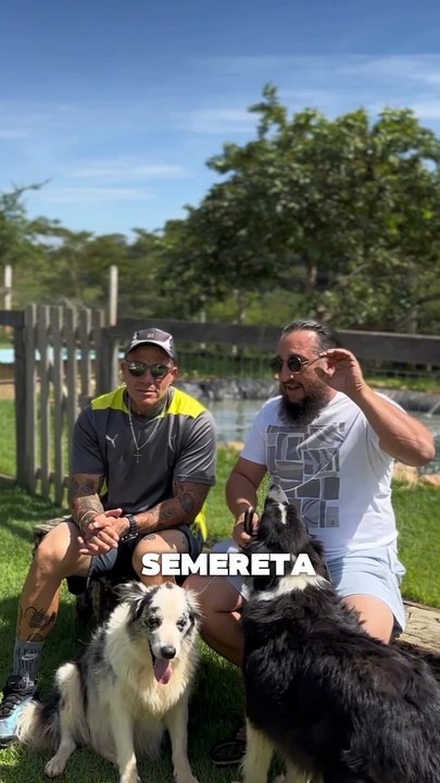 video Cão