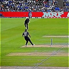 Top Best run out  #cricket #shortsfeed #cricketlover #viralshort #trandingshorts #shorts #cricket