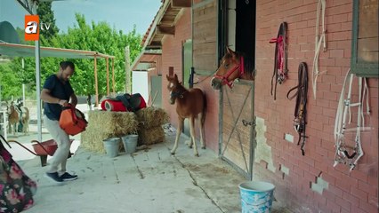 Te Amo Mi Amor _ Rengarenk - Capítulo 8