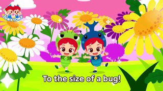 Bugs Show- Show- Show- Meet Bugs That Play Musical Instruments- Insect Songs JunyTony