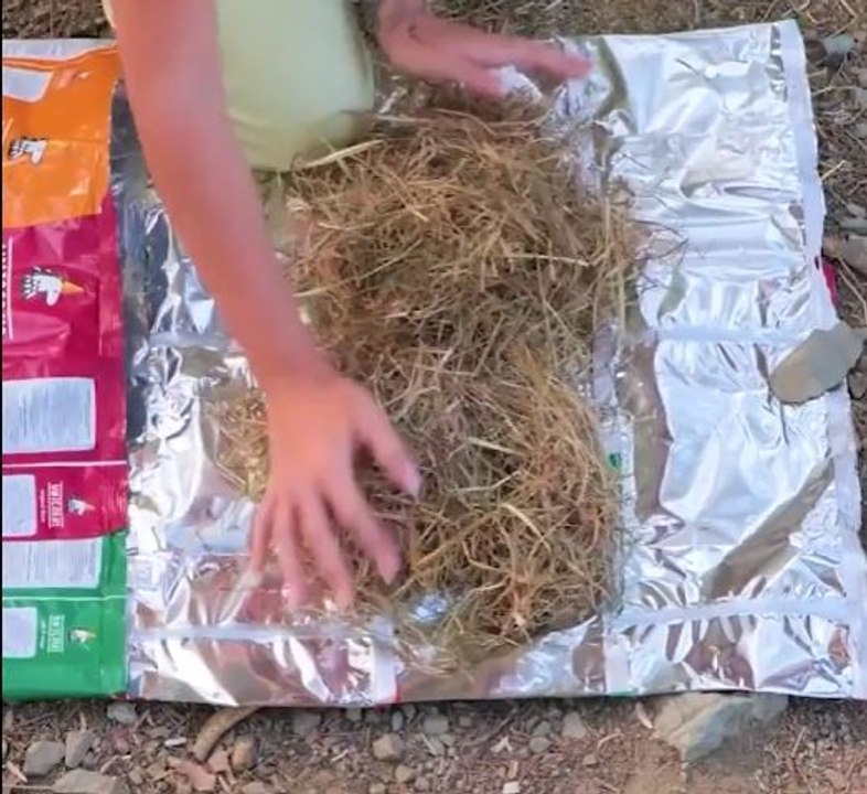 This weird hack can save you life in the wild!