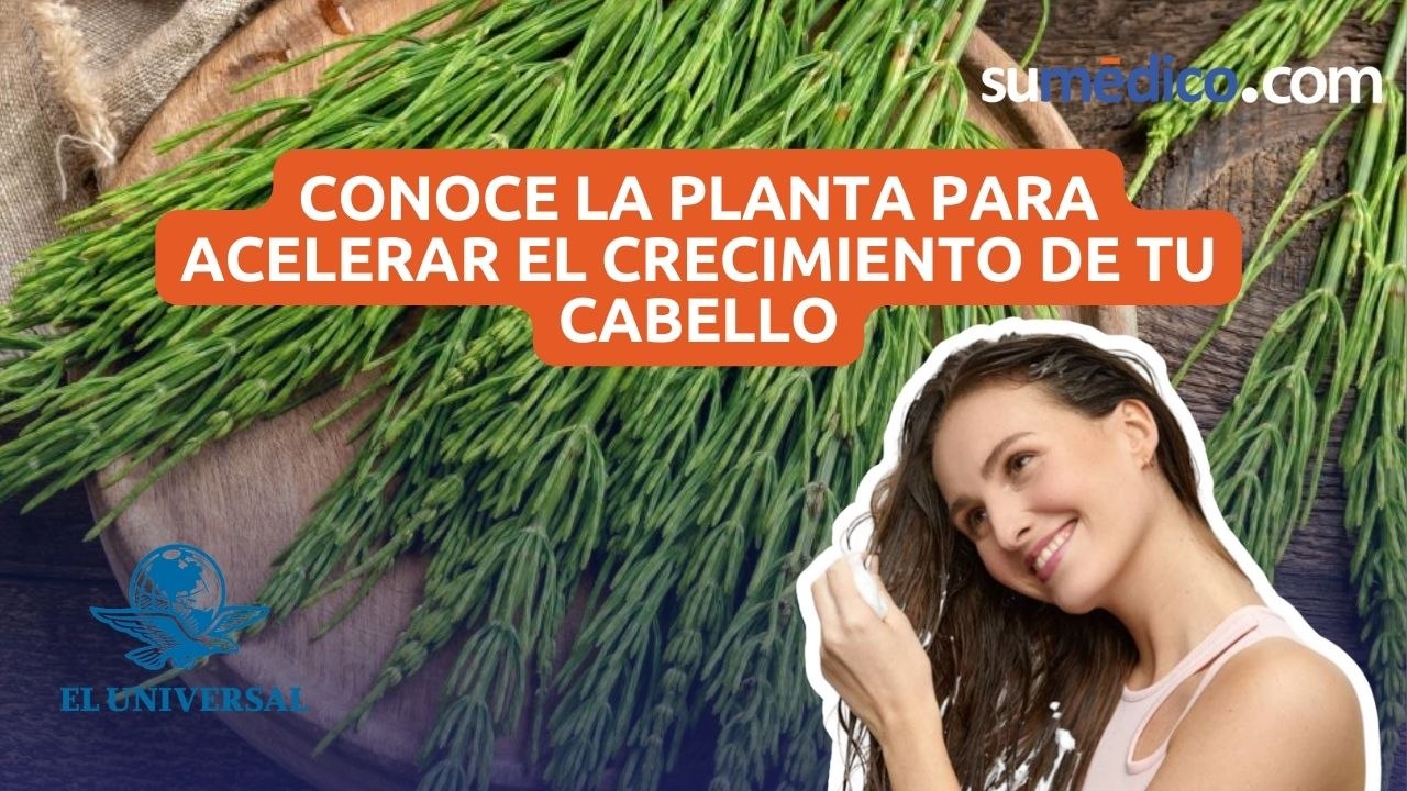 Conoce la planta para acelerar el crecimiento de tu cabello