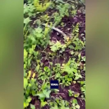 İran Cumhurbaşkanı Reisi'nin kaza yaptığı helikopterin enkazına ilk ulaşma anlarının görüntüleri ortaya çıktı
