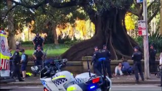 NSW Police charge man after officer was allegedly stabbed in the head in Sydney CBD