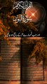 sorah Al noor / Or jb tmhry lrky or lrkian balig ho jain/ quran pak / Quran kareem sorah noor #sorahnoor