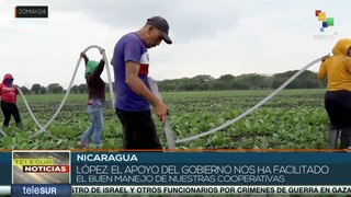 Agricultores nicaragüenses preparan el suelo para el invierno