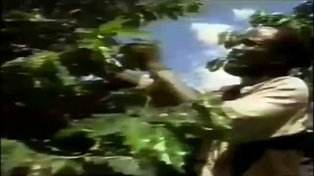 Sinhá Moça (1986) - 2ª Chamada De Personagens - Coronel Ferreira, Rodolfo e Sinhá Moça (Vale A Pena Ver De Novo)