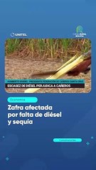 Zafra afectada por falta de diésel y sequía