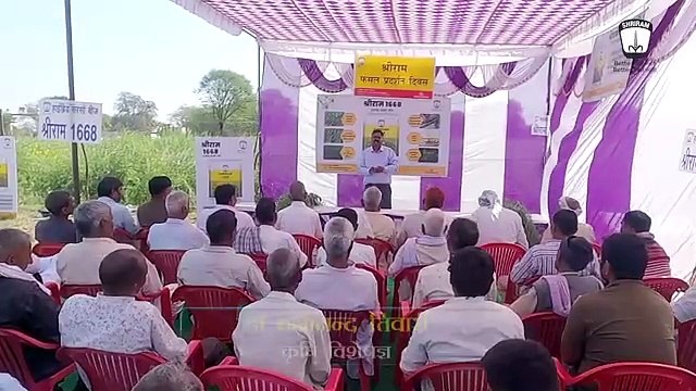 Shriram 1668 Mustard Seeds: Elevating Excellence