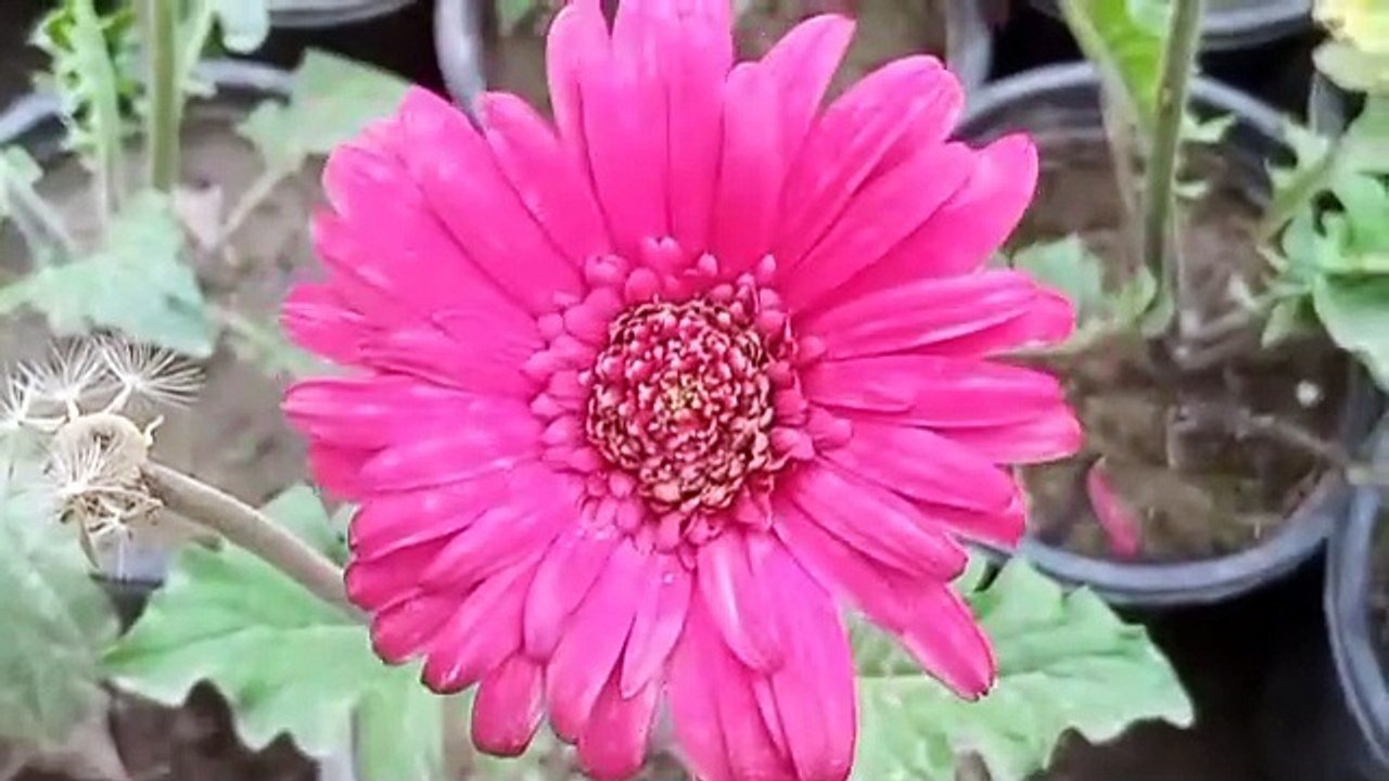 Manzil dua | Manzil dua by mishary | Manzil dua with urdu translation | Manzil dua fast | Manzil dua without ads | Manzil dua by sudais | Recitation | Manzil dua tarjuma ke sath | Manzil dua qari basit | Surah manzil | Episode 3