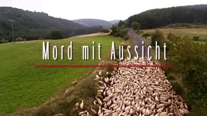 Mord mit Aussicht -21- Die Saat des Bösen