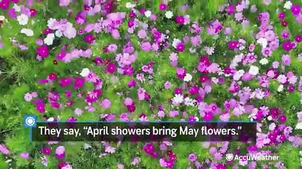 Flower Moon rises for a celestial bloom on May 23