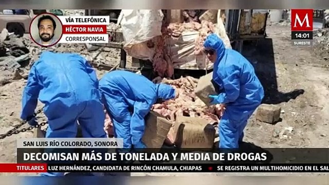 Decomisan más de tonelada y media de drogas en Sonora, hay un detenido