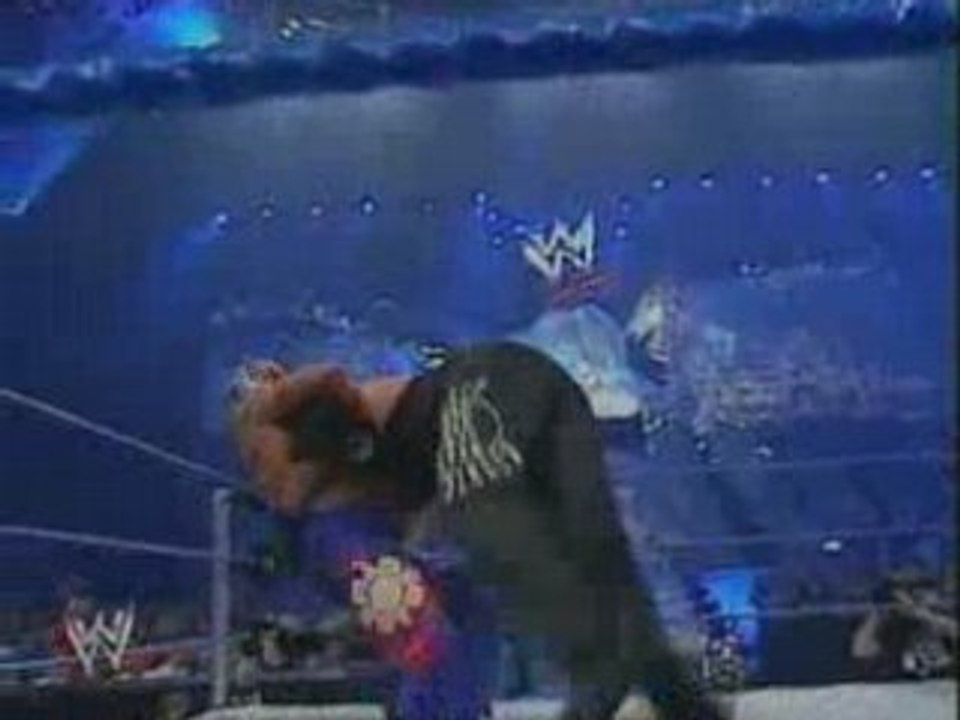 WWE - Rey Mysterio tornado ddts the Undertaker