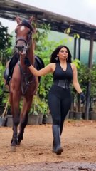 Gentle Giants | Award-Winning Film | Meet Amazing Draft Horses!