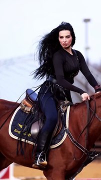 funny horses |funny horse videos |horse videos |funny horse fails |p2