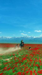 Embracing the spirit of Qulan ❤️