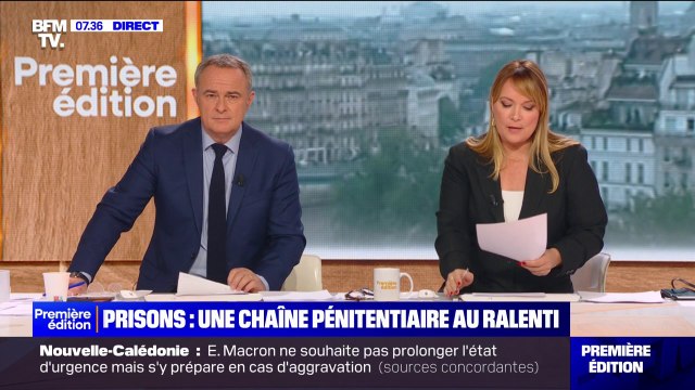 Les malinois sont des chiens particuliers : Hélène Gateau, vétérinaire et journaliste, sur les différentes caractéristiques des malinois