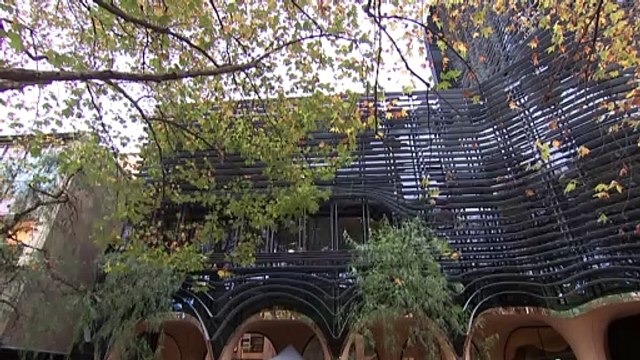 Pro-palastinian protests continue on Melbourne campuses