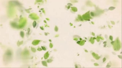 The Peoples of the Great North. Art and Civilisation of Siberia